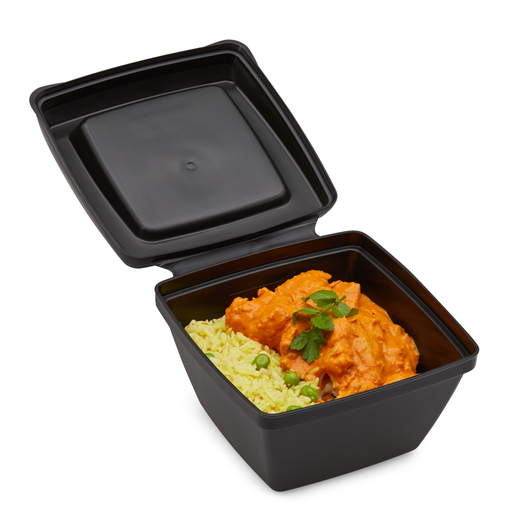 Food service container in black with curry and rice